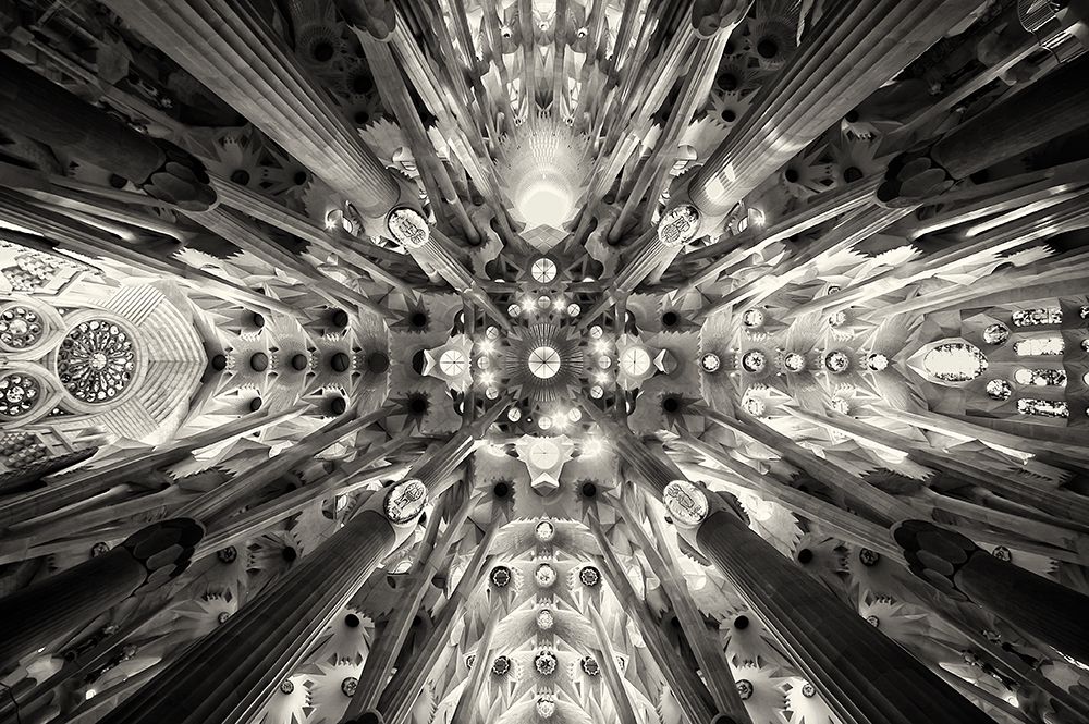 Artificial Forest - Sagrada Familia art print by Antonio Bonnin Sebastia for $57.95 CAD