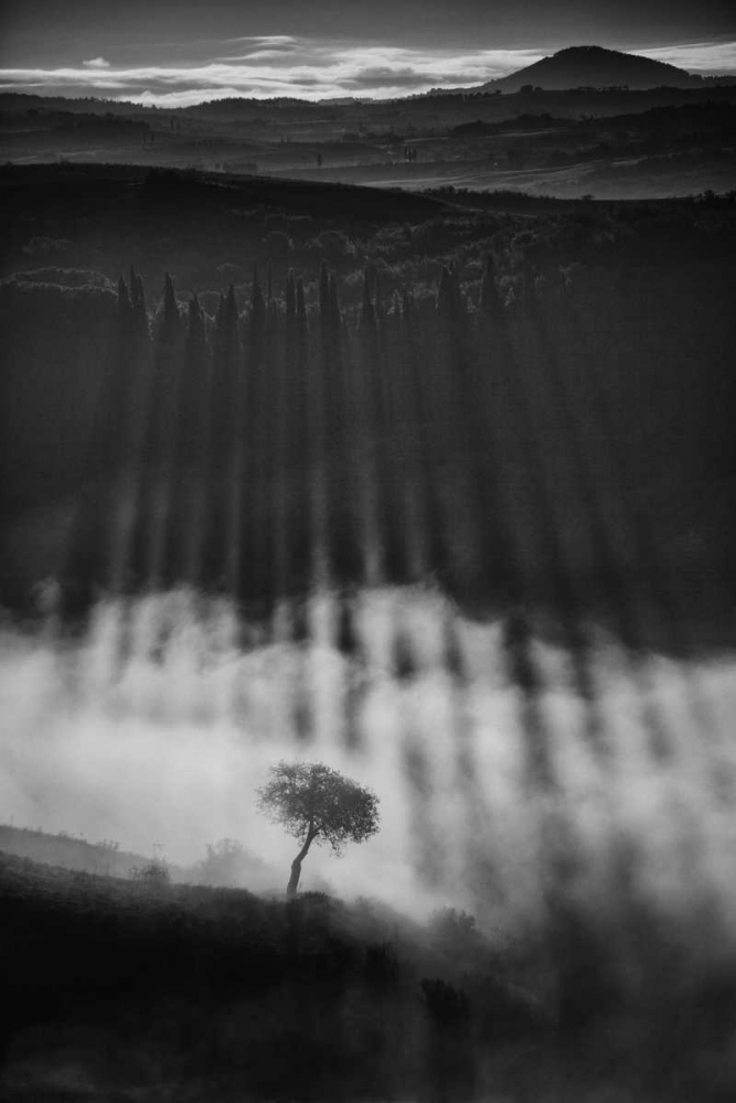 Rising Up art print by Peter Svoboda for $57.95 CAD