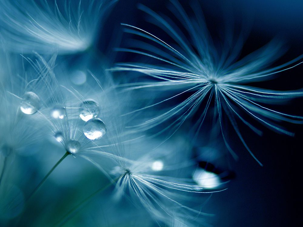Soft Touch art print by Adriana K.H. for $57.95 CAD