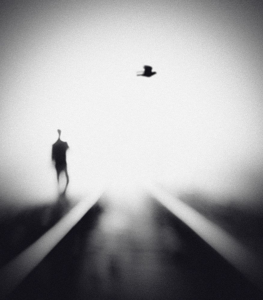 Nocturne art print by Hengki Lee for $57.95 CAD