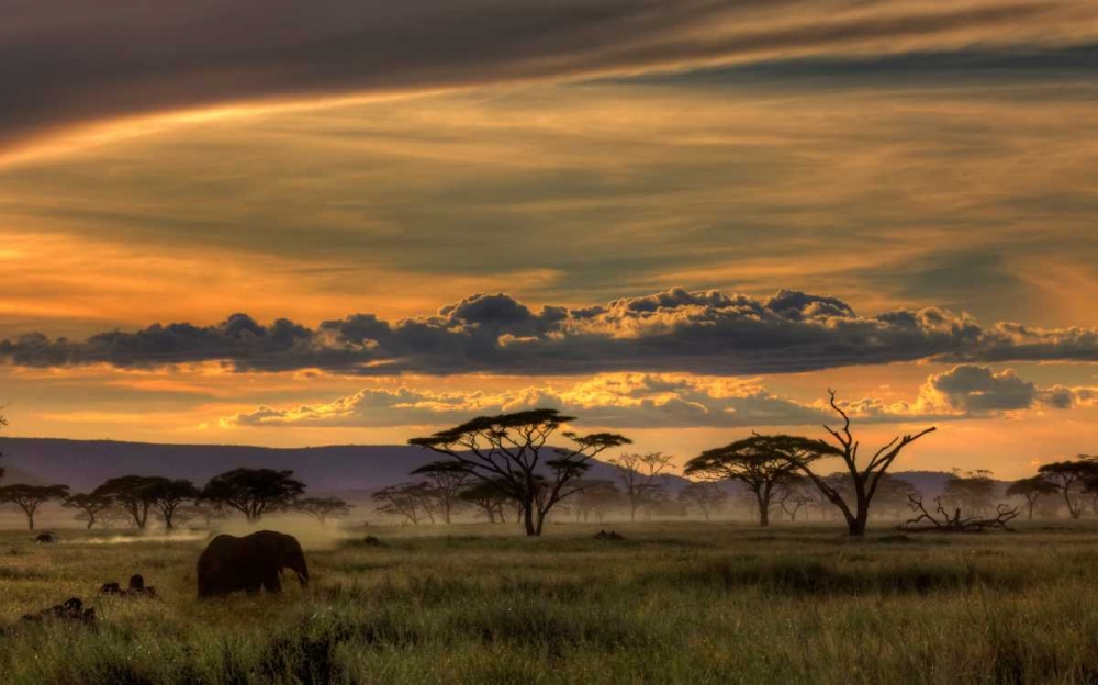 Africa art print by Amnon Eichelberg for $57.95 CAD