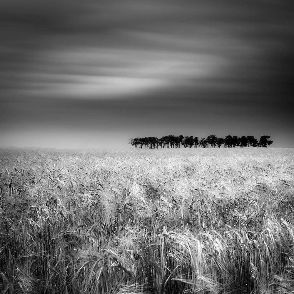 Tierra De Pan art print by Marco Antonio Cobo for $57.95 CAD