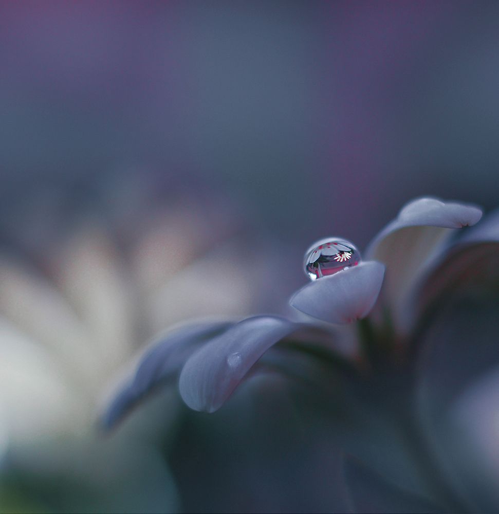 Invisible Soul... art print by Juliana Nan for $57.95 CAD