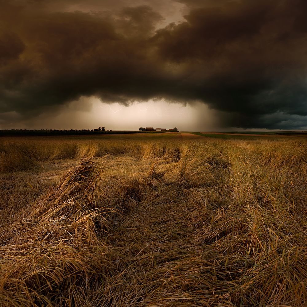 Straw Country art print by Nicolas Schumacher for $57.95 CAD