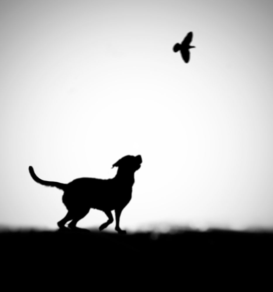 The Clue art print by Hengki Lee for $57.95 CAD