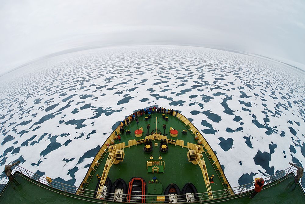 Smile! YouA#039;Re In The Arctic! art print by Vadim Balakin for $57.95 CAD