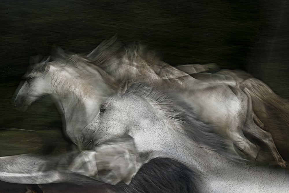 Into The Dark art print by Milan Malovrh for $57.95 CAD