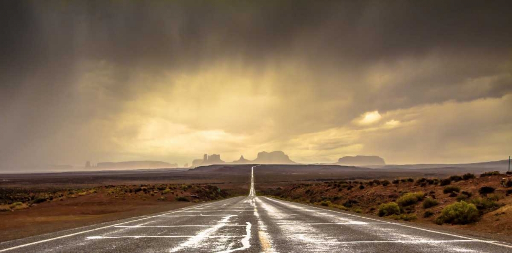 Strom In Monument Valley art print by Javier De La for $57.95 CAD