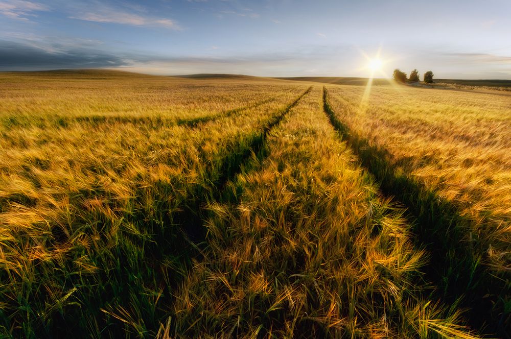 country-side art print by Piotr Krol for $57.95 CAD