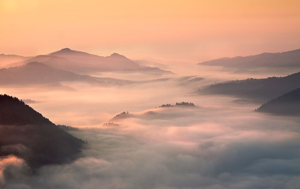 Foggy Morning In The Mountains art print by Przemyslaw Kruk for $57.95 CAD