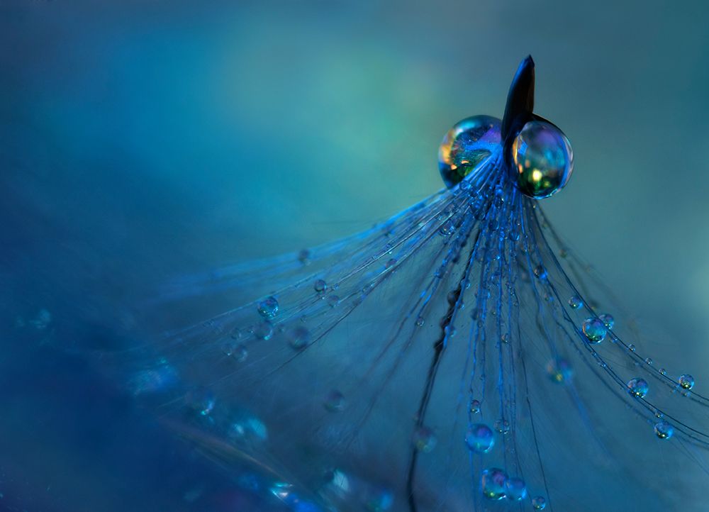 Dancing Into The Blue Night art print by Heidi Westum for $57.95 CAD