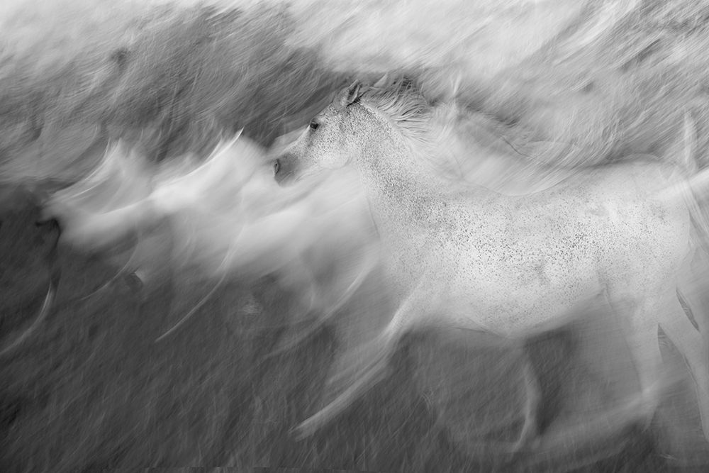 Mystic White art print by Milan Malovrh for $57.95 CAD