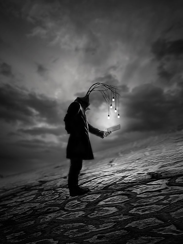 The Reader art print by David Senechal Photographie for $57.95 CAD