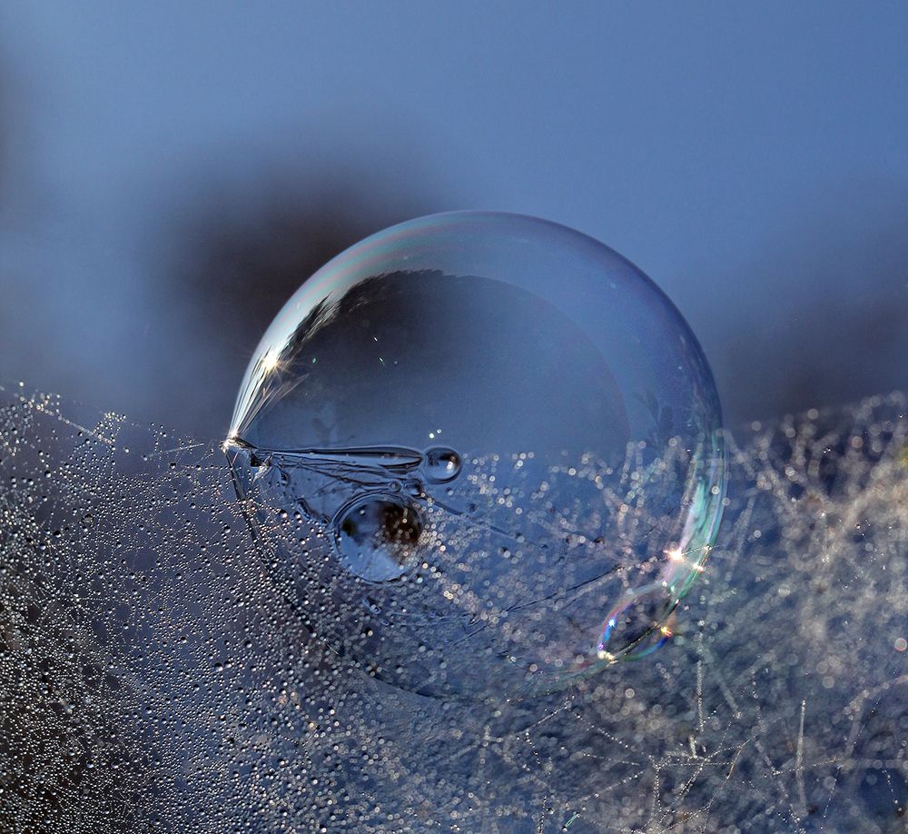 Blue Bubble Morning art print by Kent Mathiesen for $57.95 CAD