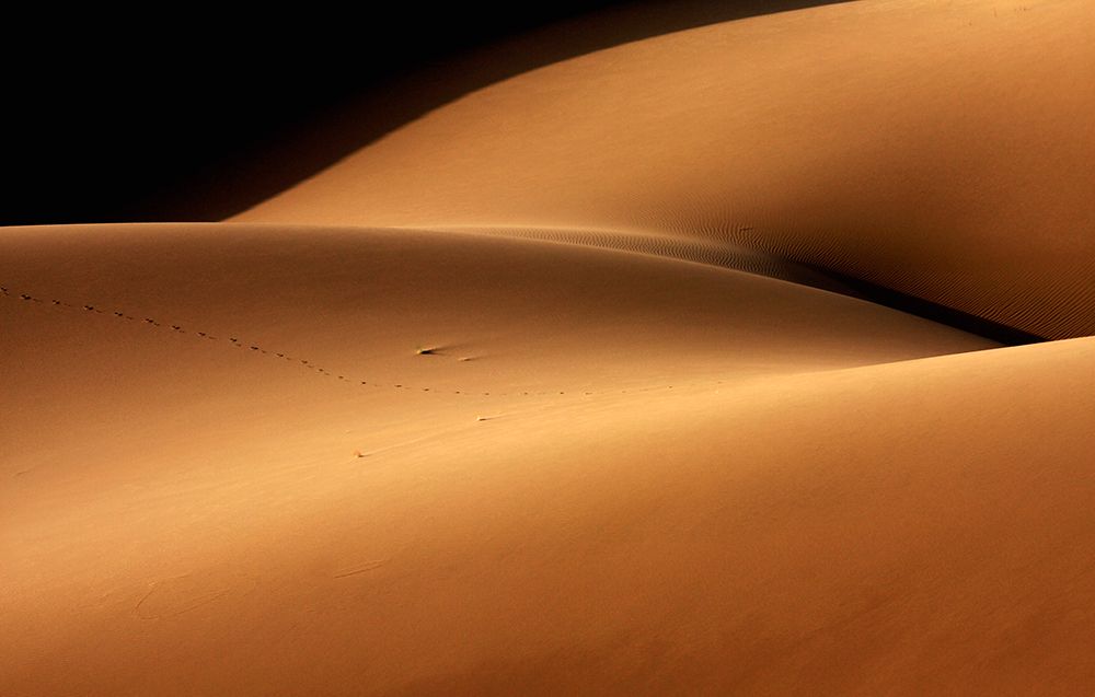 Desert And The Human Torso art print by Ebrahim Bakhtari Bonab for $57.95 CAD