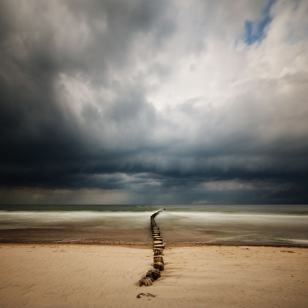 S art print by Piotr Krol for $57.95 CAD