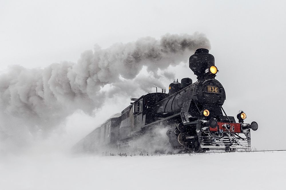 Little-Jumbo art print by Harri Aho for $57.95 CAD