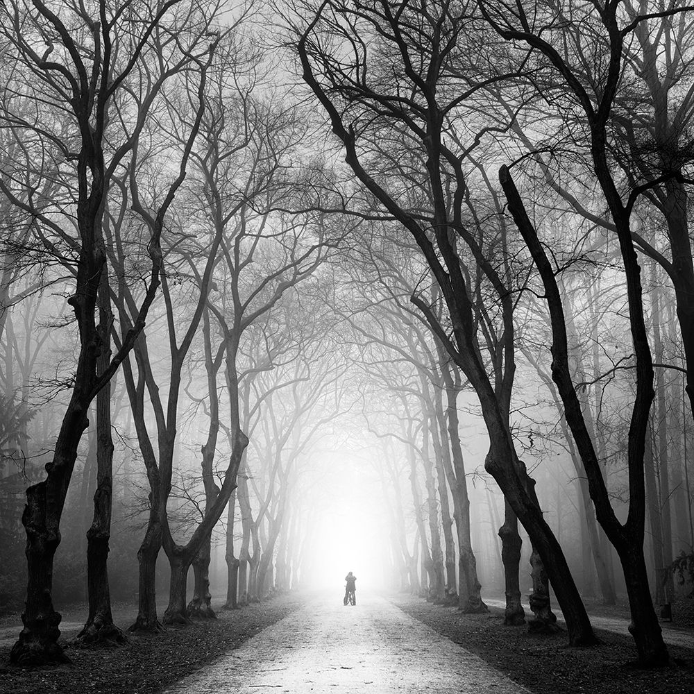 Cyclist art print by Martin Rak for $57.95 CAD