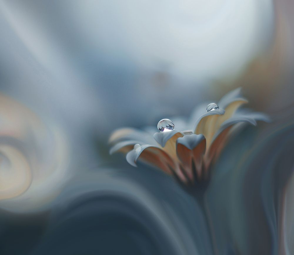 Infinite Longing... art print by Juliana Nan for $57.95 CAD