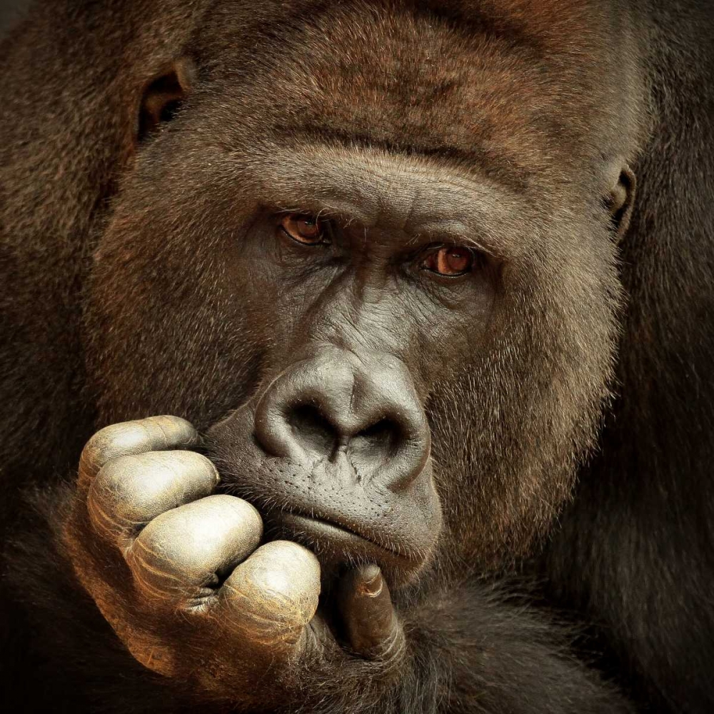 Sense Of Life ... art print by Antje Wenner-Braun for $57.95 CAD