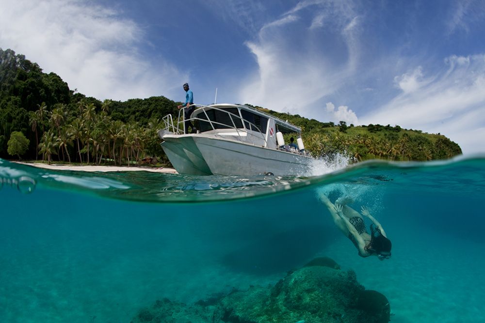 Dive To Fiji art print by Andrey Narchuk for $57.95 CAD