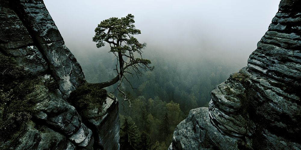 /\\-L /\\ art print by Andreas Schott for $57.95 CAD