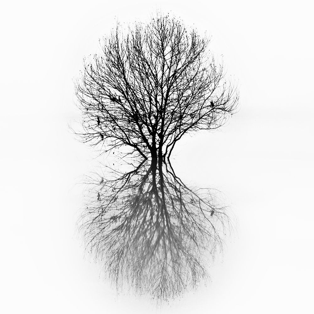 Diluvium art print by Paulo Abrantes for $57.95 CAD