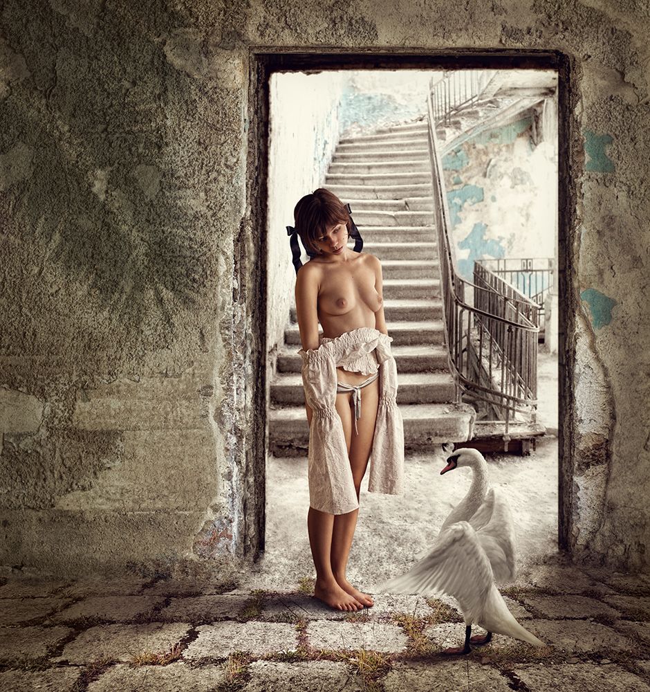 Princess and the Swan art print by Dmitry Frizel for $57.95 CAD