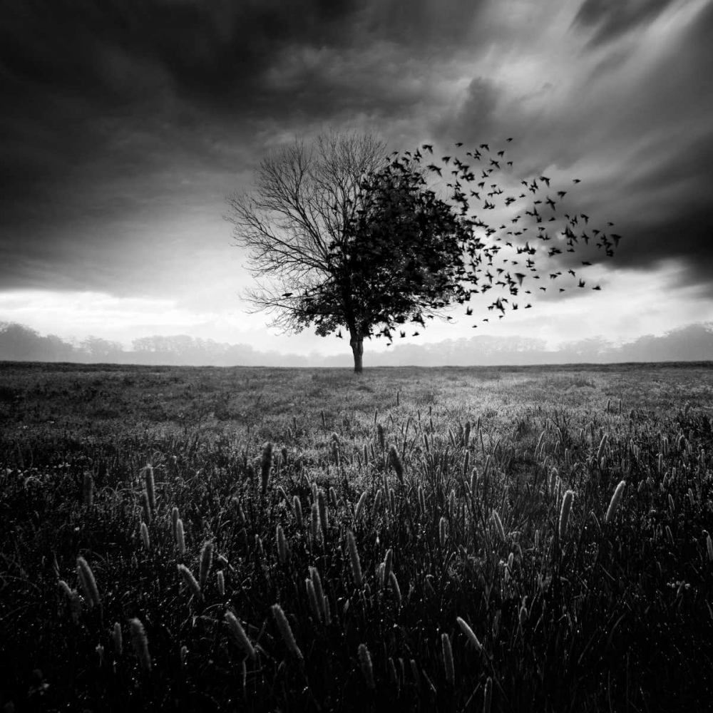 Illusion DUn Printemps Perdu art print by Sebastien Del Grosso for $57.95 CAD