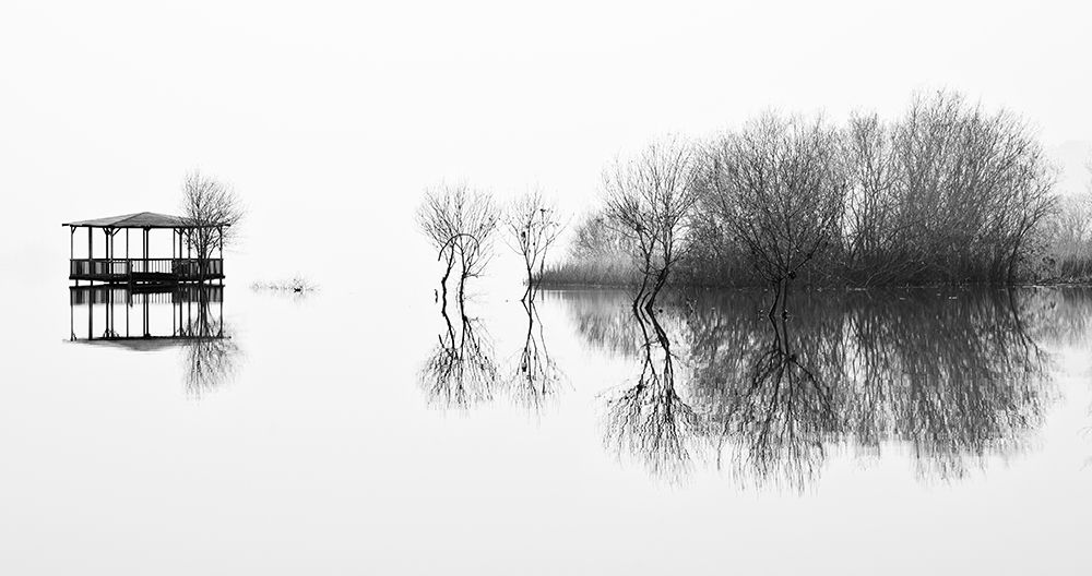 Changes art print by Paulo Abrantes for $57.95 CAD