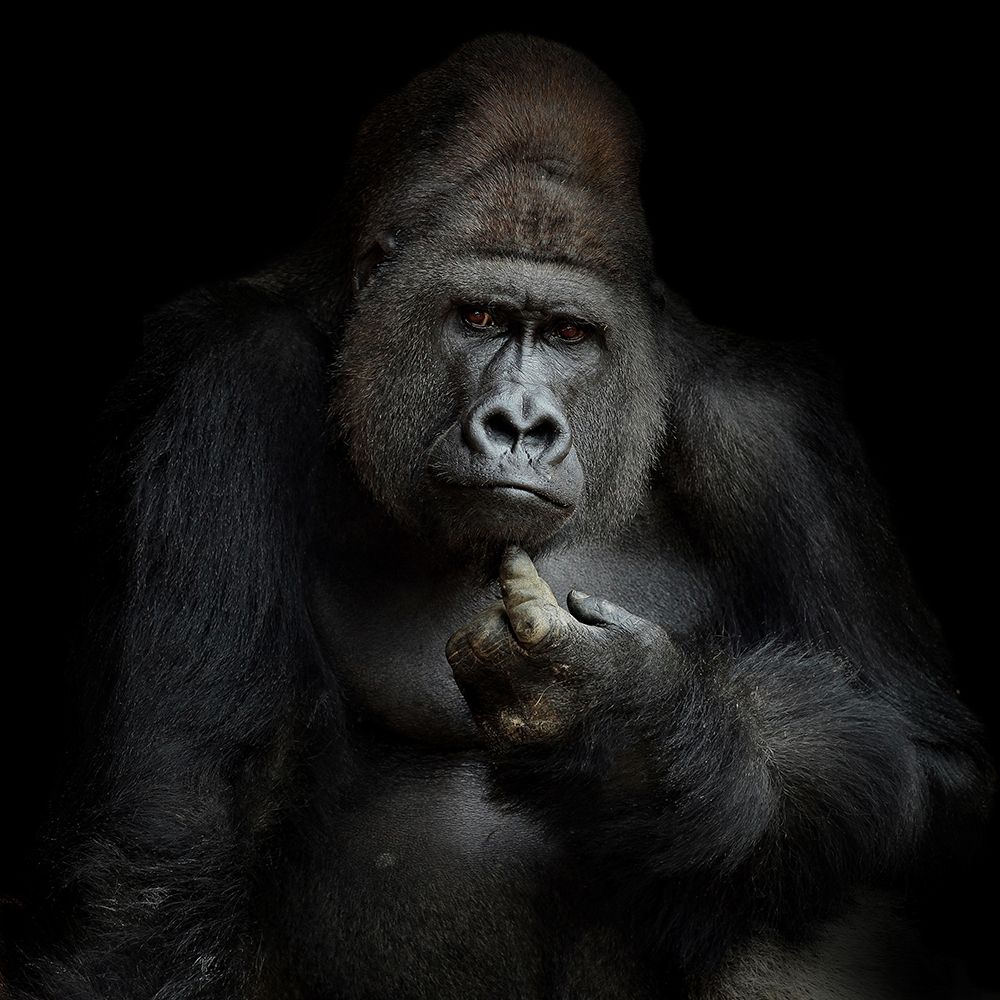 Imho .... art print by Antje Wenner-Braun for $57.95 CAD