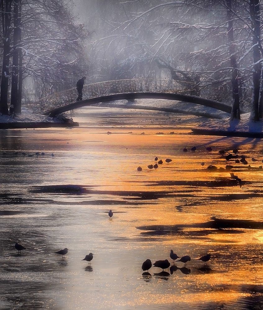 Frozen Lake art print by Cristian Andreescu for $57.95 CAD