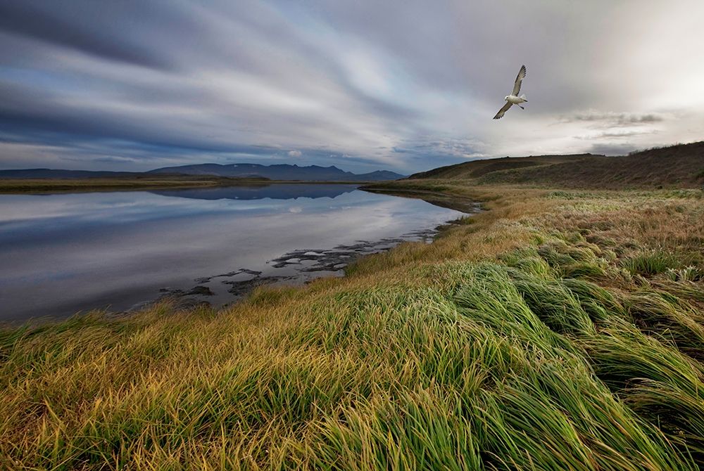 Stillness art print by Bragi Ingibergsson for $57.95 CAD