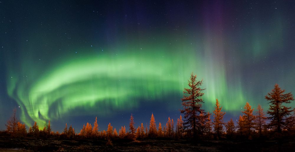 Northern lights art print by Andrey Snegirev for $57.95 CAD