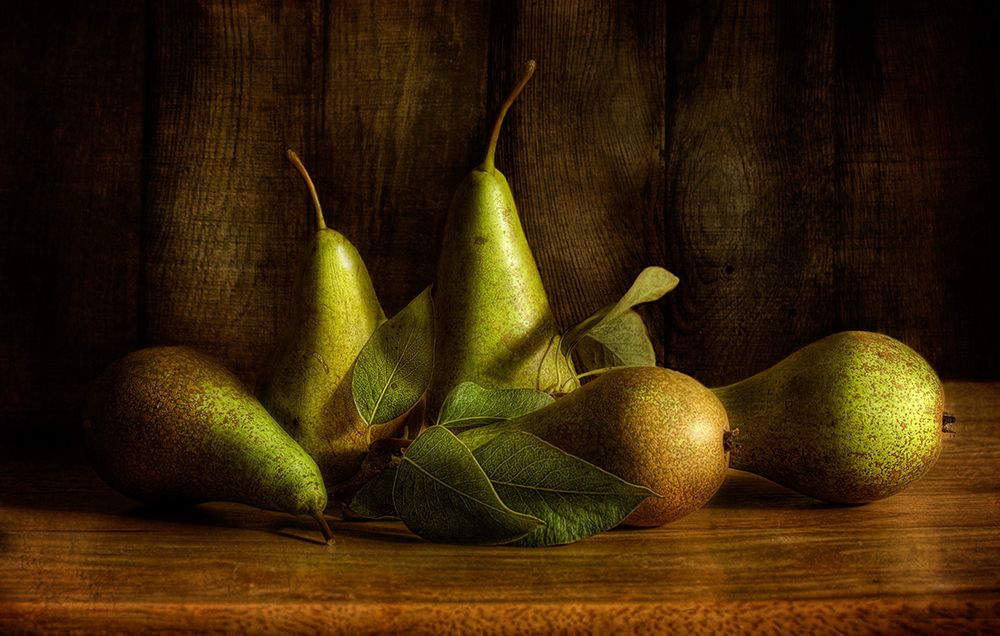 Pears art print by Mandy Disher for $57.95 CAD