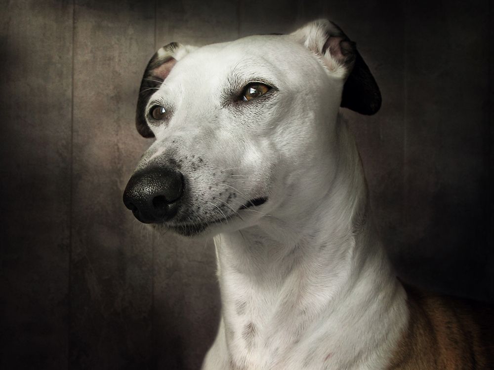 Waiting art print by Mandy Disher for $57.95 CAD