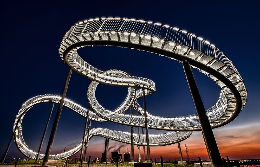 Tiger And Turtle At Dawn art print by Holger Schmidtke for $57.95 CAD