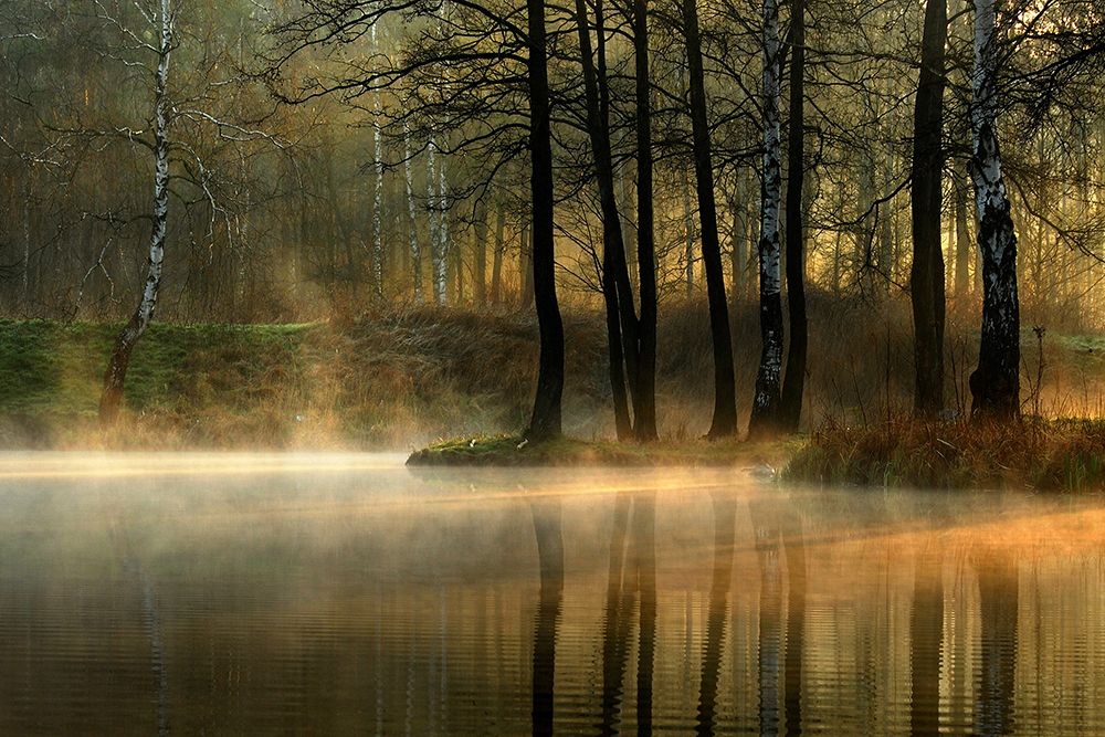 Silent Light. art print by Agnieszka Jankowska for $57.95 CAD