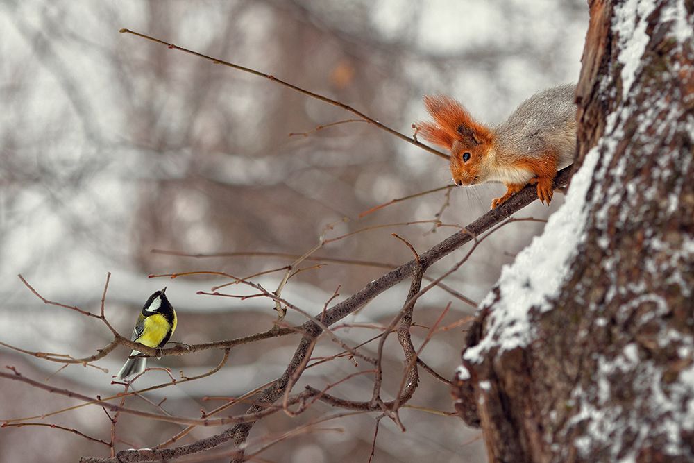 Hi art print by Dmitry Laudin for $57.95 CAD