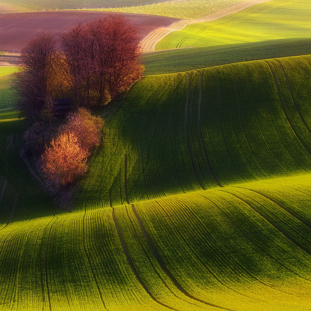 Green Fields art print by Piotr (Bax) Krol for $57.95 CAD
