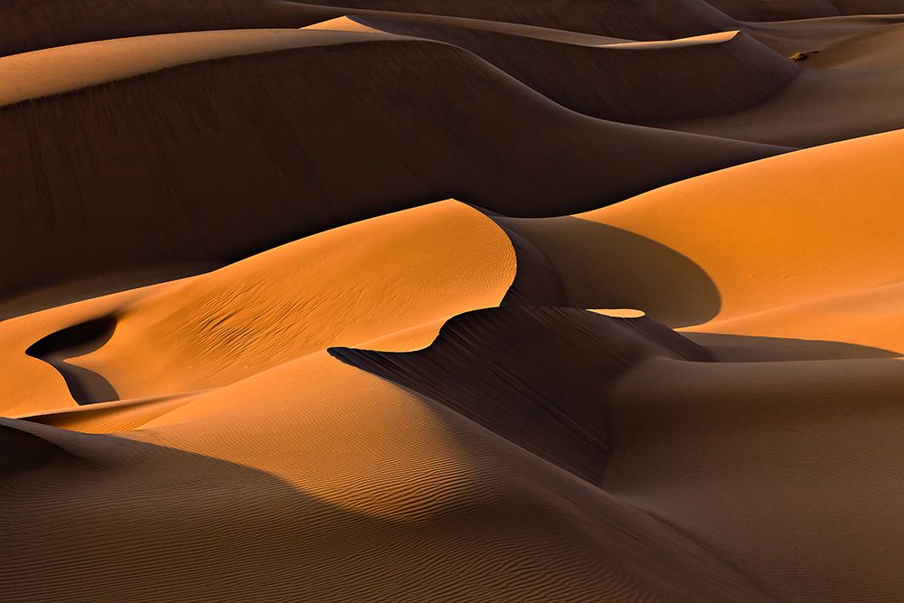 Morning Light art print by Mohammadreza Momeni for $57.95 CAD