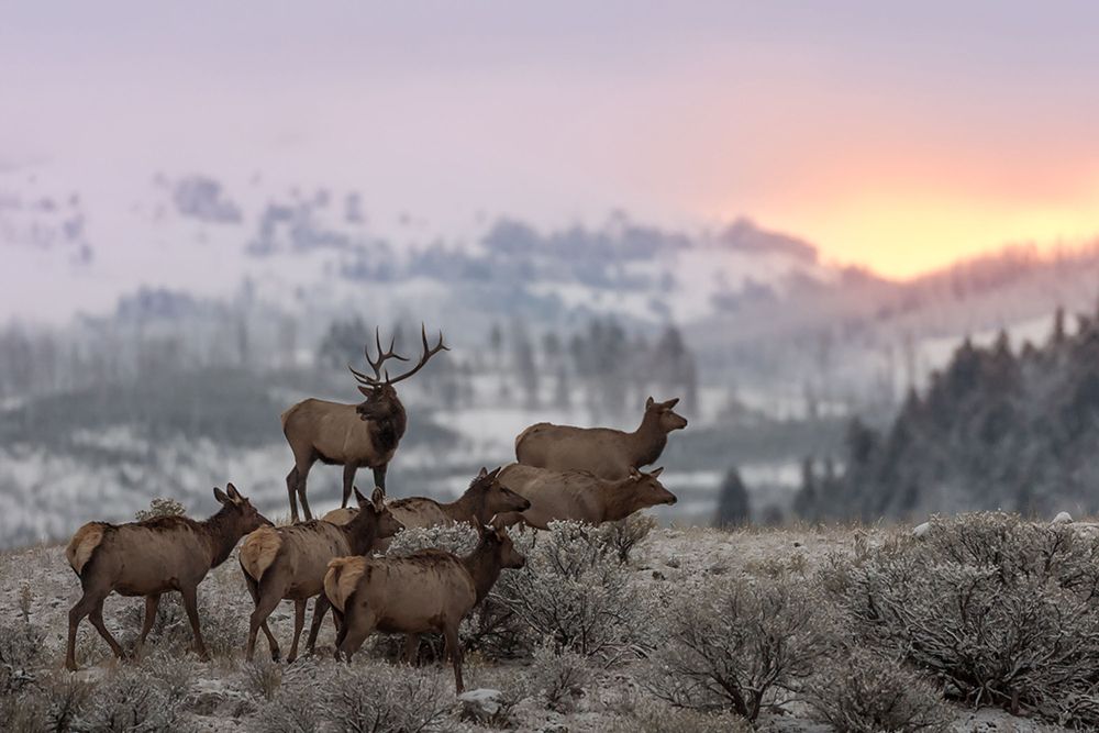 First Light art print by Nick Kalathas for $57.95 CAD