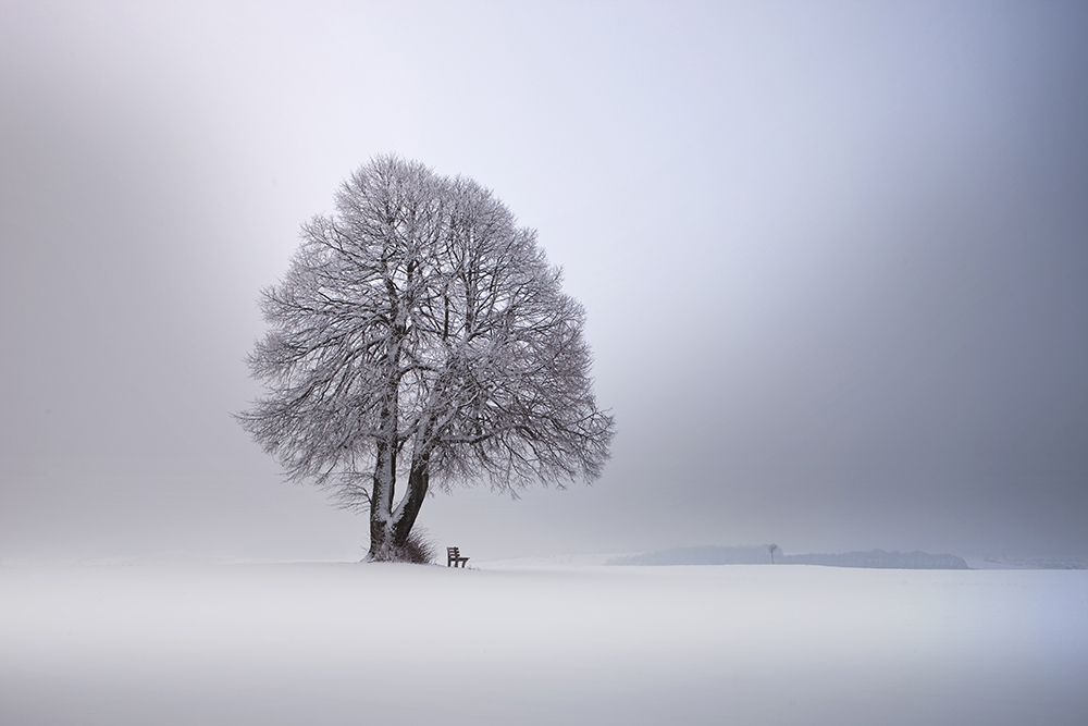 Winter Light art print by Nicolas Schumacher for $57.95 CAD