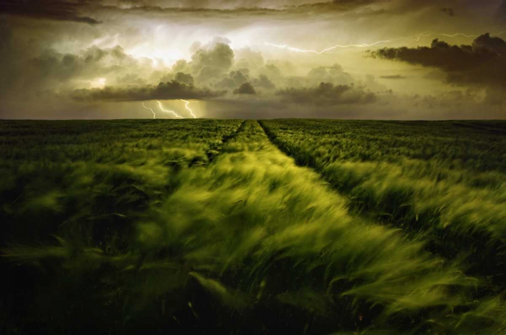 Journey To The Fierce Storm art print by Sona Buchelova for $57.95 CAD