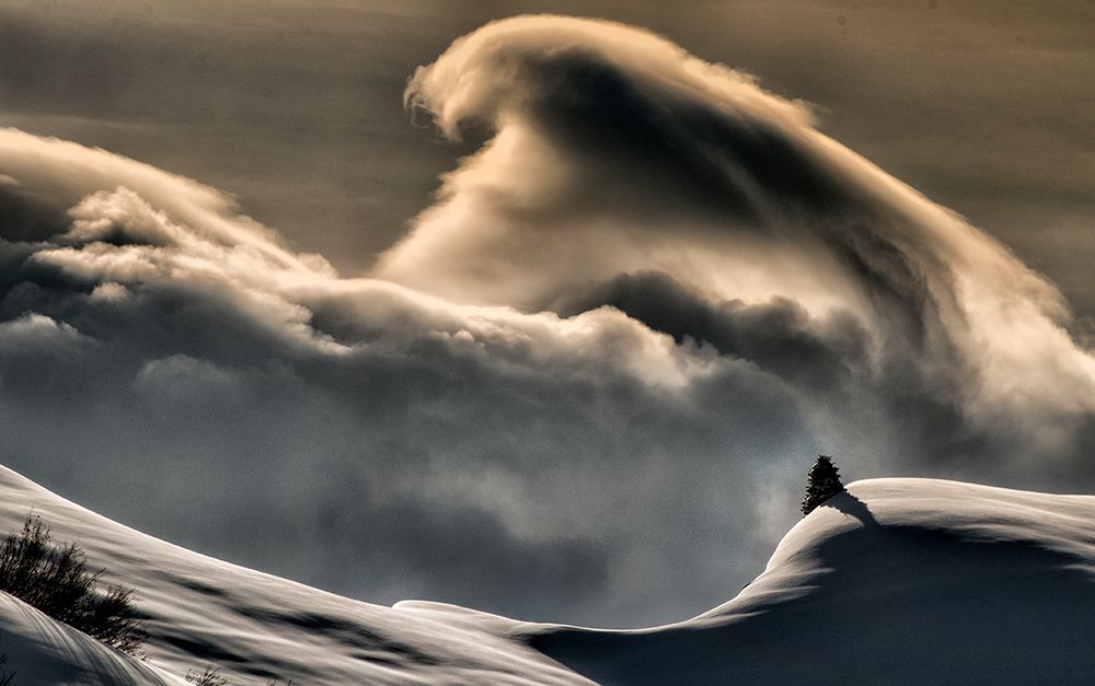 Wine cloud art print by Grigore Roibu for $57.95 CAD