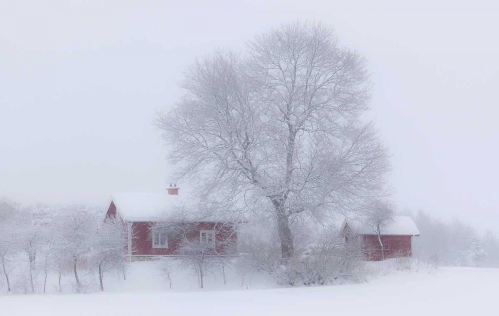 Winter Idyll art print by Allan Wallberg for $57.95 CAD
