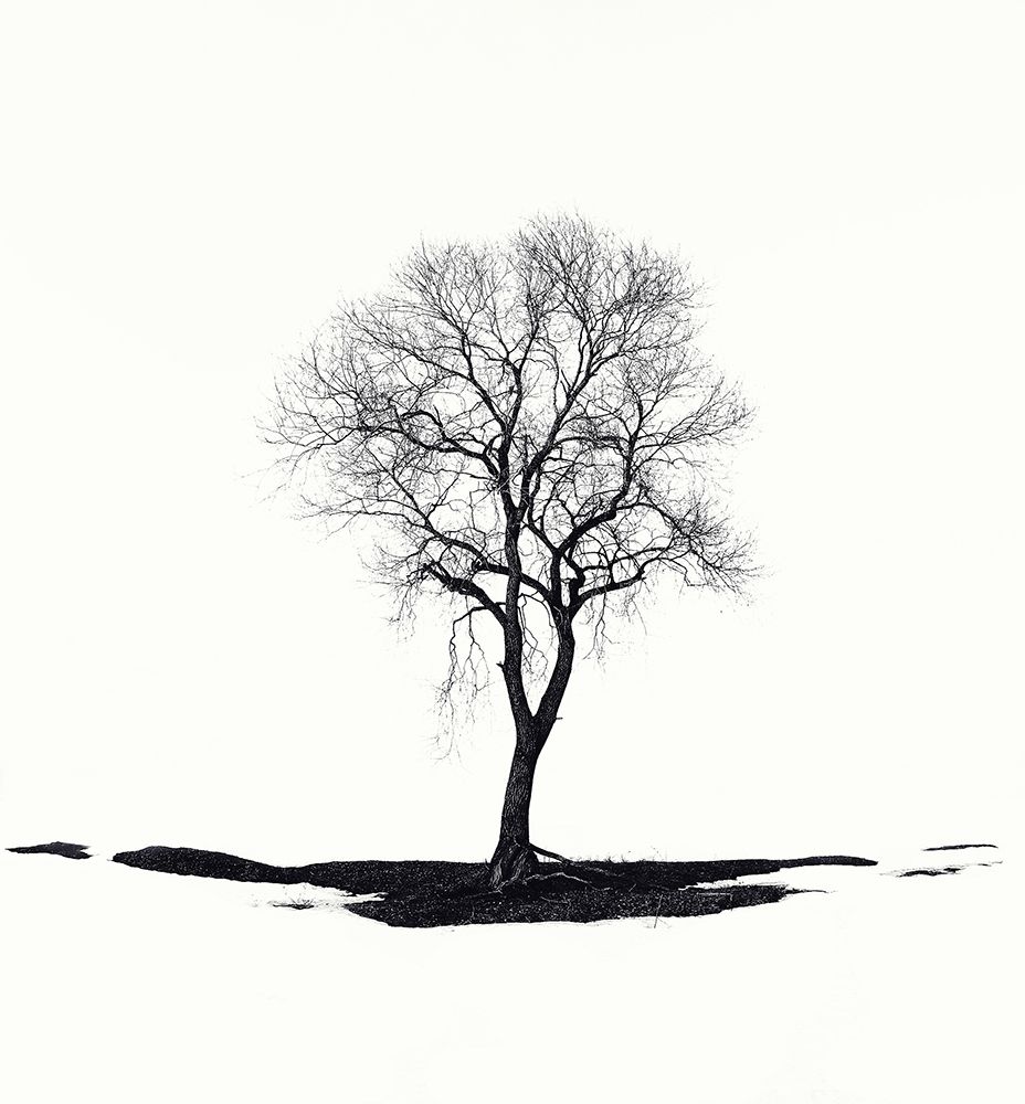 Lonely art print by Dmitry Doronin for $57.95 CAD