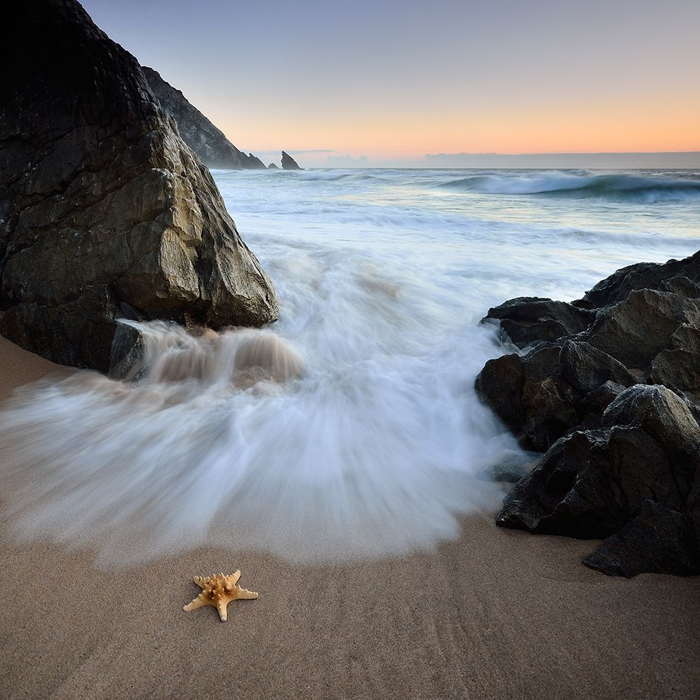 Summer Flux art print by Paulo Dias for $57.95 CAD