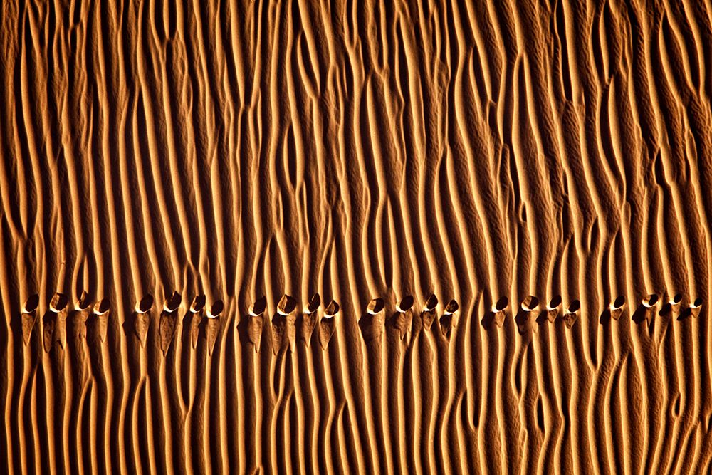Footprint3 art print by Mohammadreza Momeni for $57.95 CAD