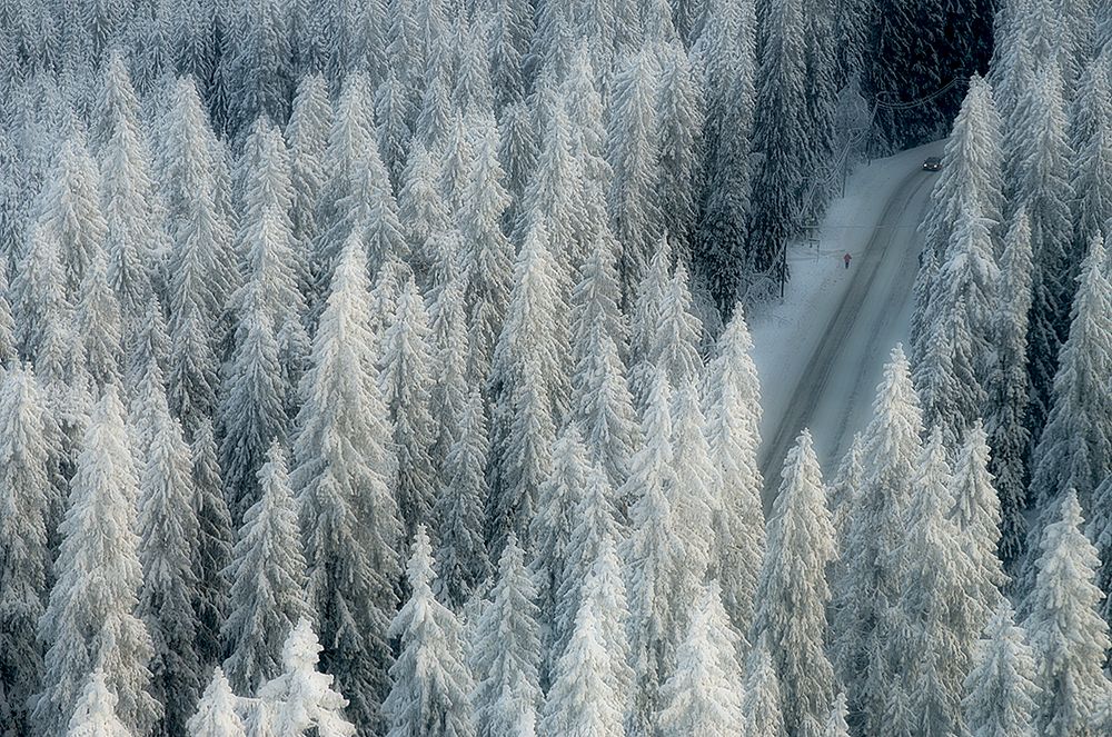 Rendezvous art print by Teemu Kalliolahti for $57.95 CAD